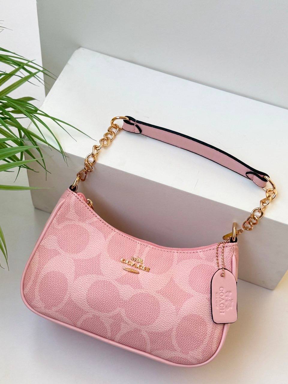 Pink handbag with gold chain strap on a white surface with a plant in the background