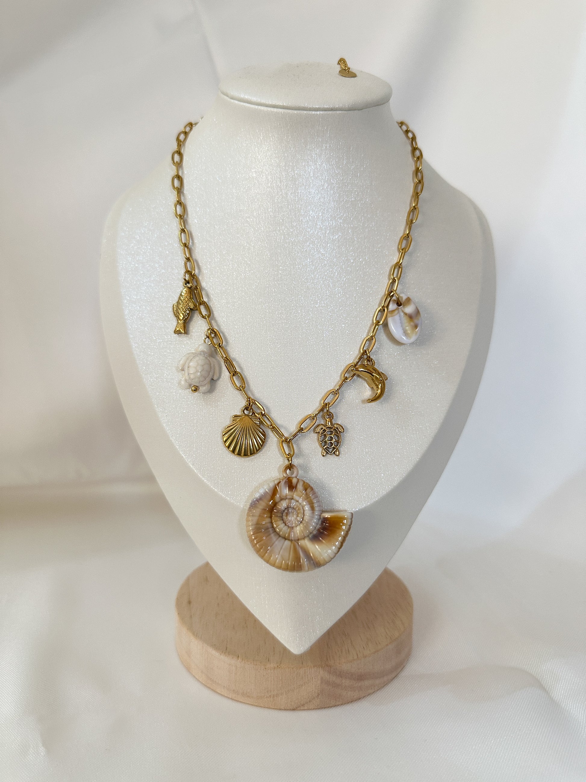 Seashell