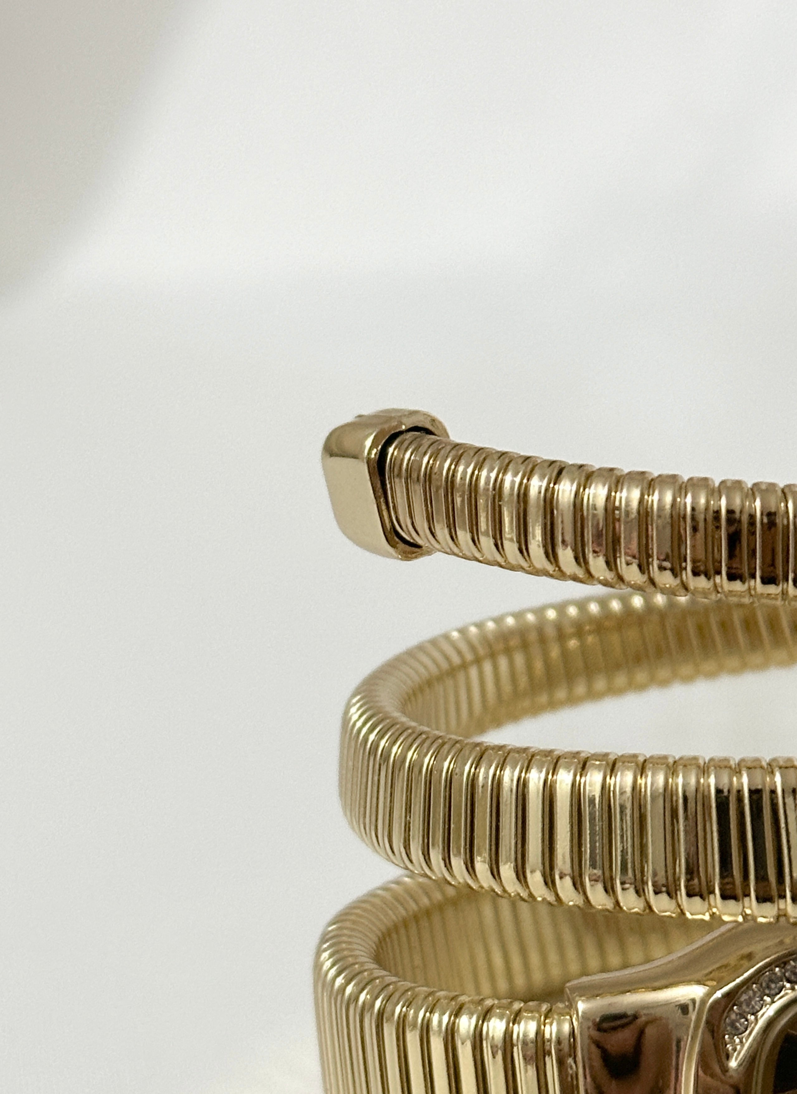 Serpent Watch