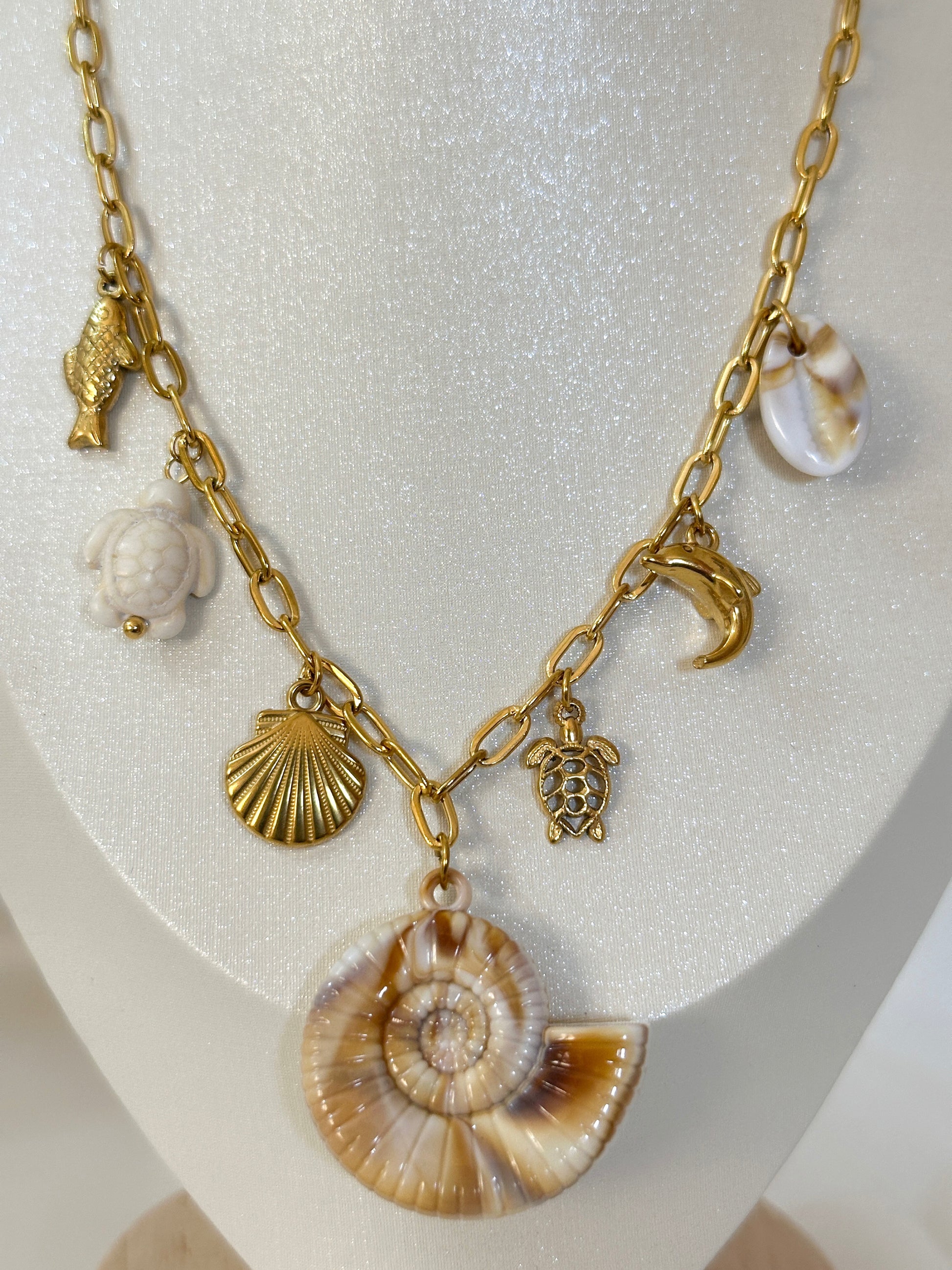 Seashell