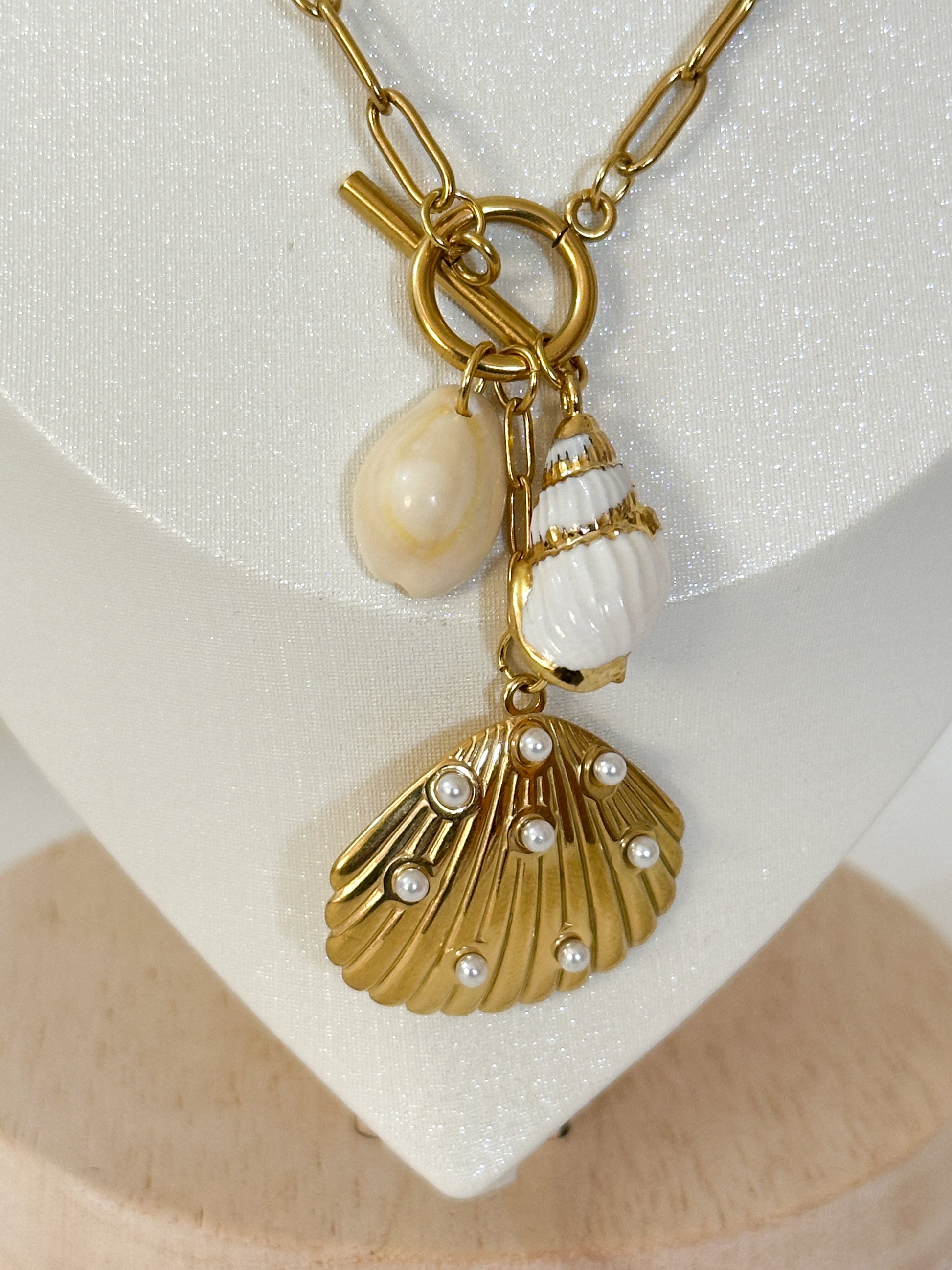 Seashell 2