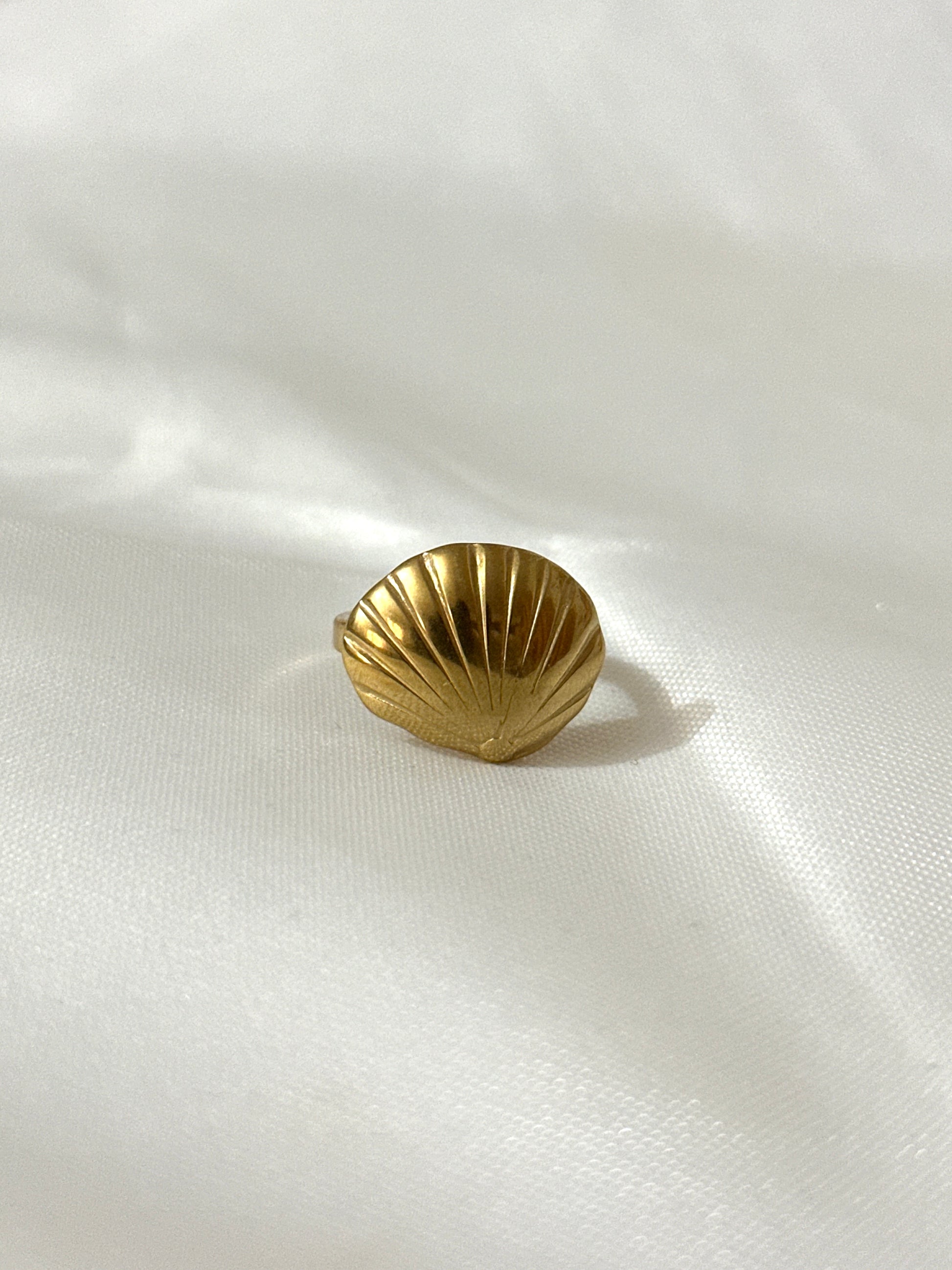 Sea Side Rings Stainless Steel