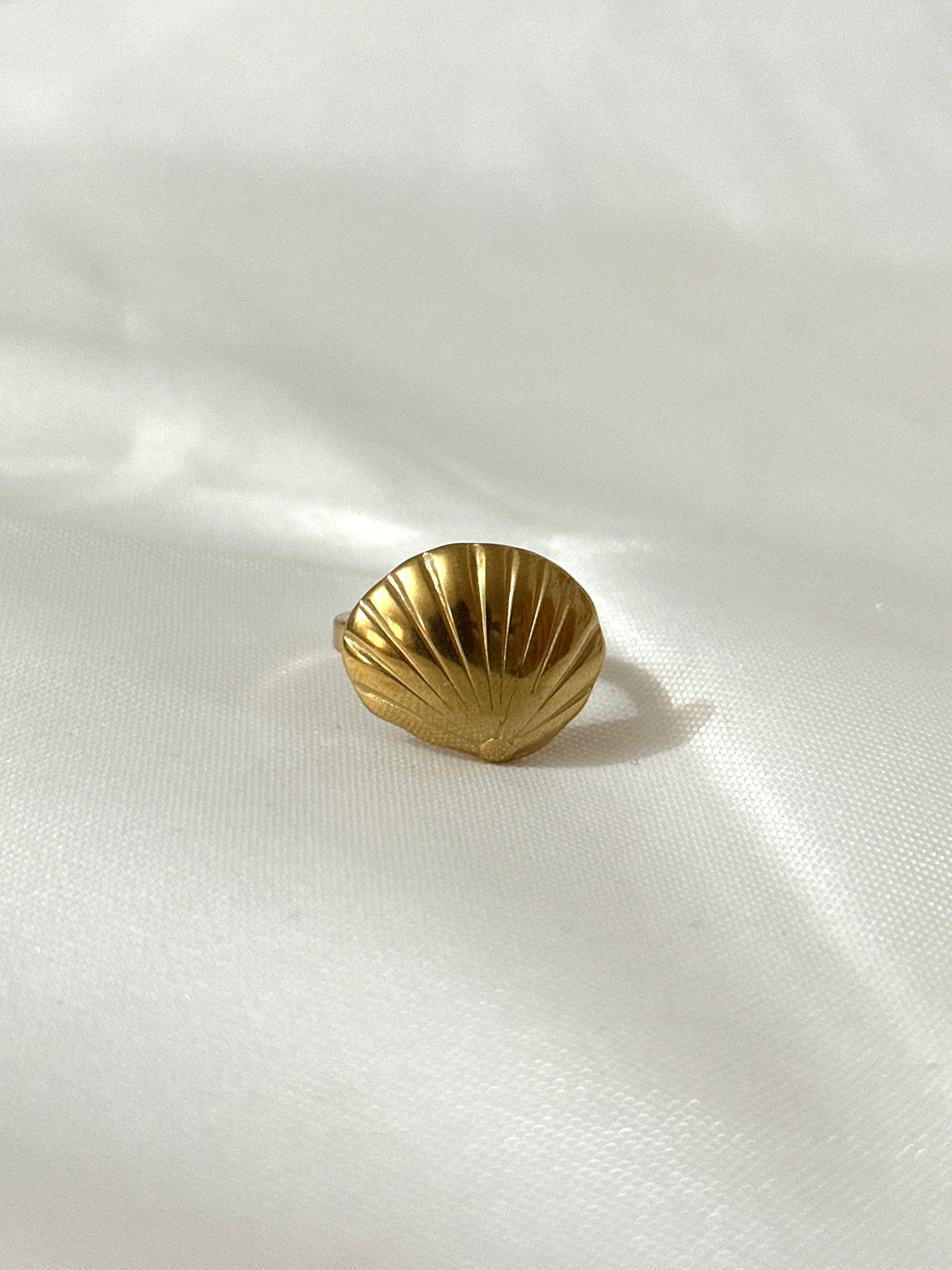 Sea Side Rings Stainless Steel
